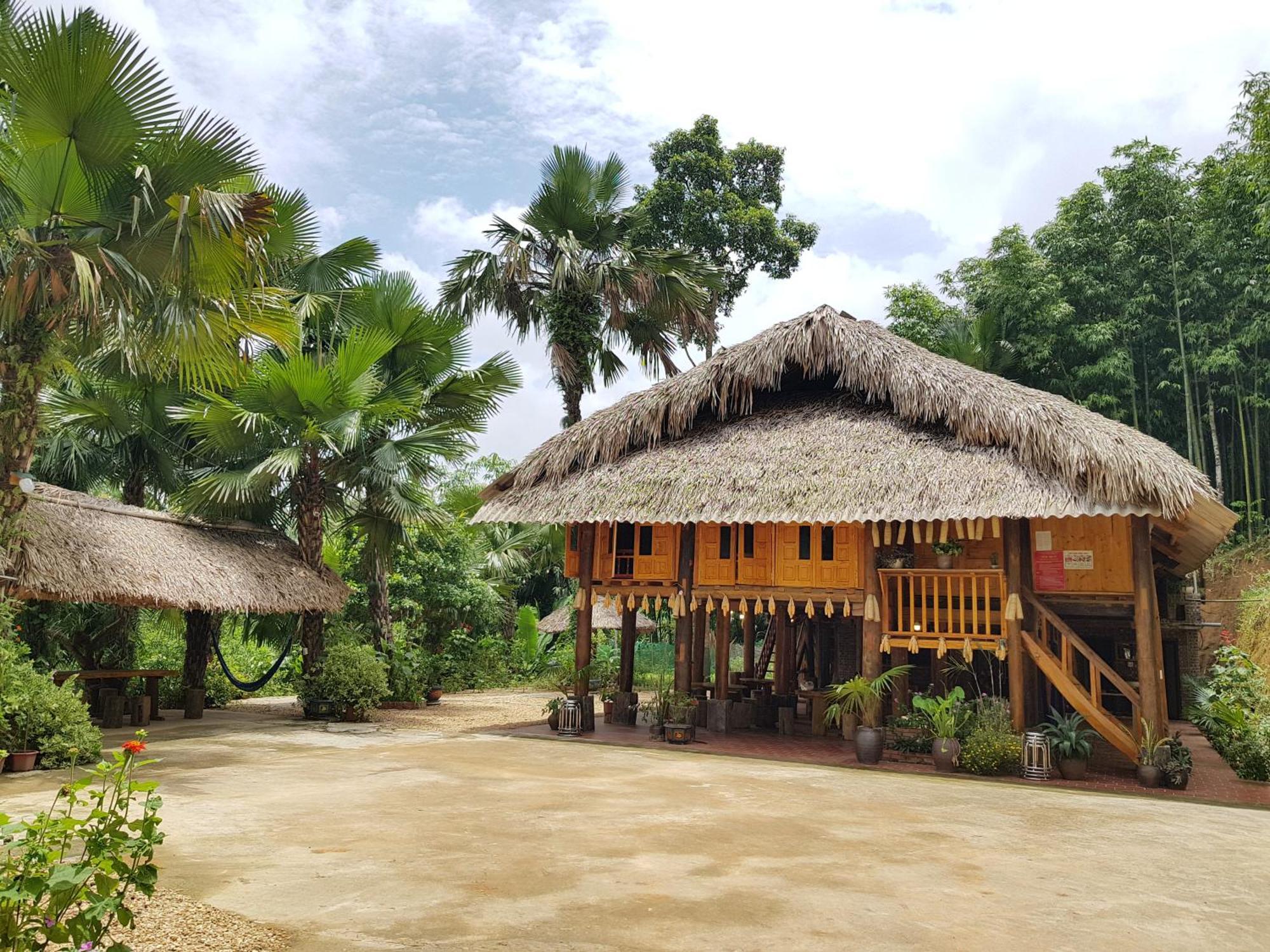 Vu Linh Palm House Homestay - Bungalow イエンバイ エクステリア 写真