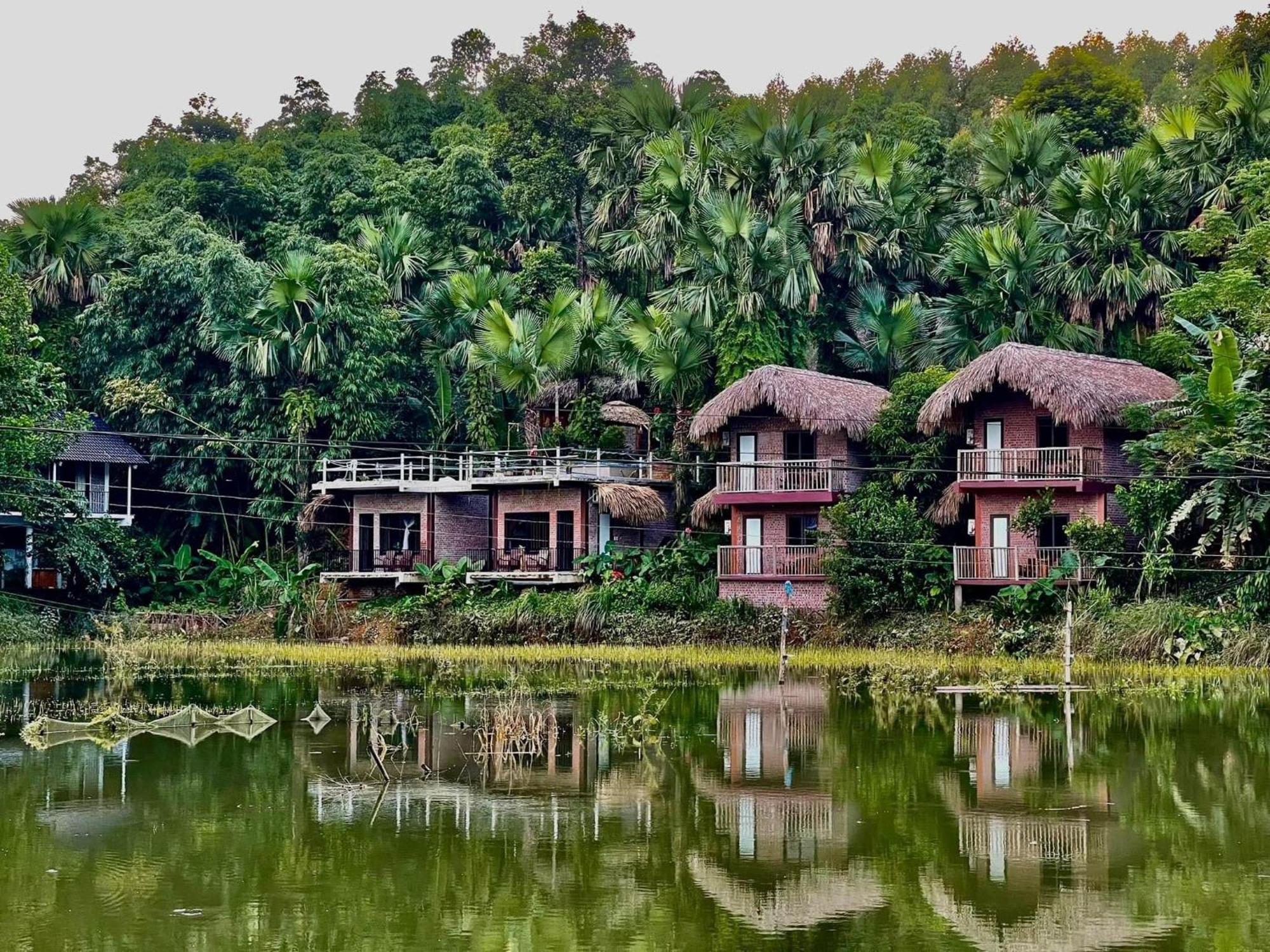 Vu Linh Palm House Homestay - Bungalow イエンバイ エクステリア 写真