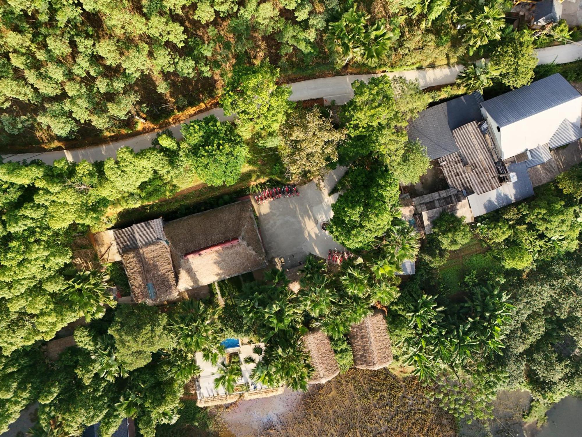 Vu Linh Palm House Homestay - Bungalow イエンバイ エクステリア 写真