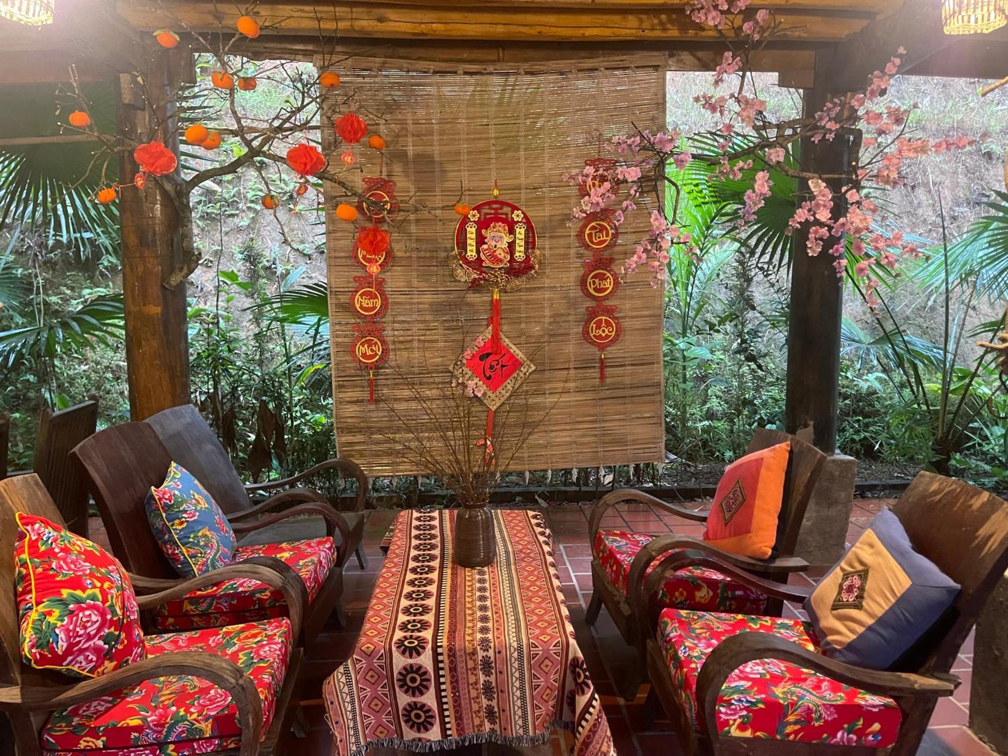 Vu Linh Palm House Homestay - Bungalow イエンバイ エクステリア 写真